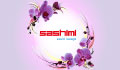 Sashimi Sushi Lounge - Berlin