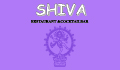 Shiva 10435 - Berlin